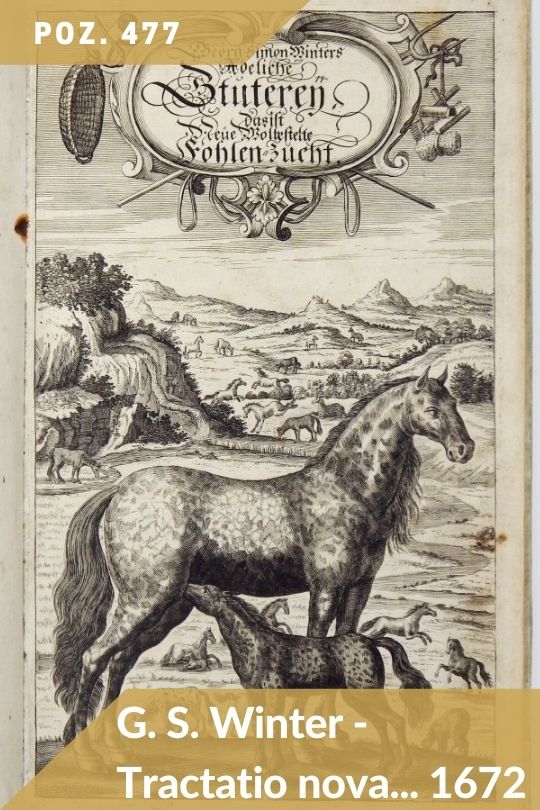 Aukcja 134 - poz. 477 - G. S. Winter - Tractatio Nova De Re Equaria Complectens partes tres [...] 1672