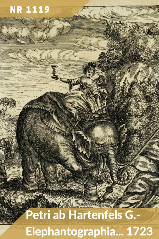 Antykwariat Rara Avis - 138. aukcja antykwaryczna, poz. 1119: Georg Petri ab Hartenfels - Elephantographia curiosa. 1723
